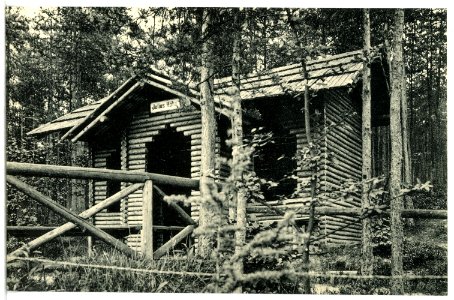 13698-Mühlhausen-1911-Julius-Höhe im Heim-Walde des Genesungsheimes-Brück & Sohn Kunstverlag