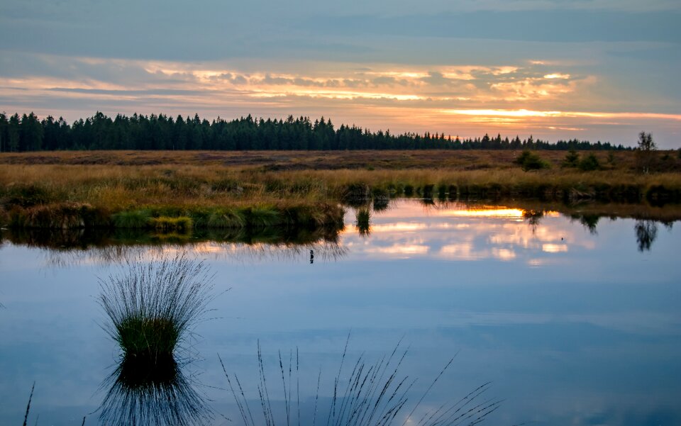 Nature nature reserve moorland