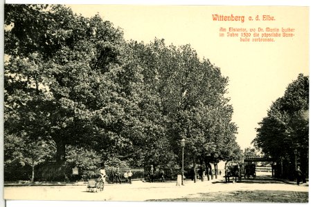 12916-Wittenberg-1911-Am Elstertor-Brück & Sohn Kunstverlag
