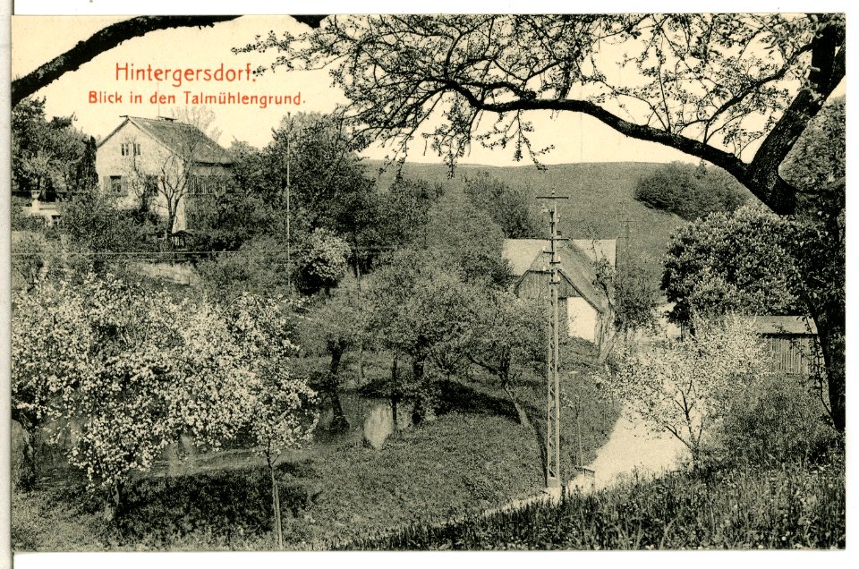 13263-Hintergersdorf-1911-Talmühlengrund-Brück & Sohn Kunstverlag