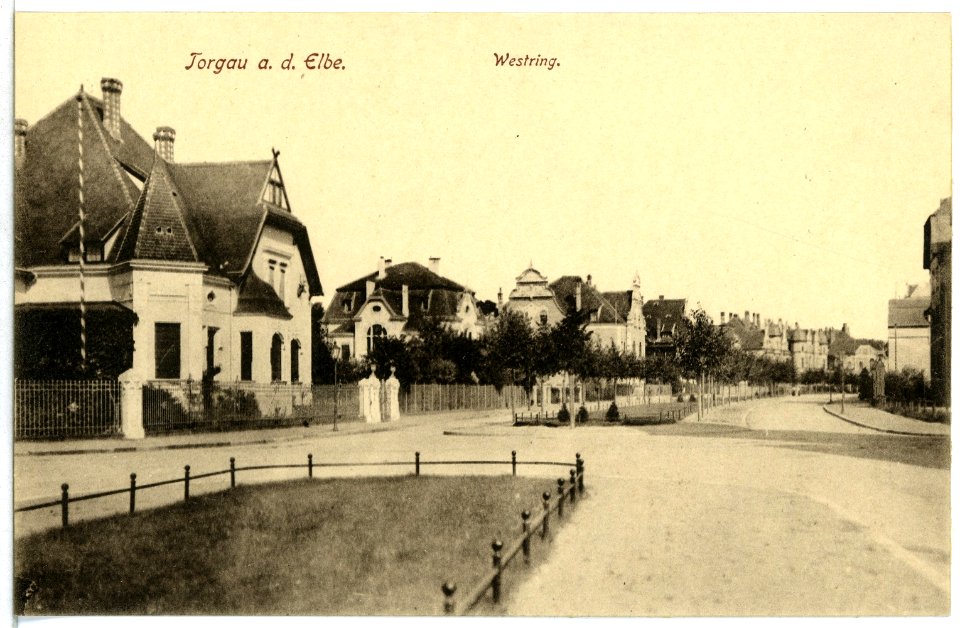 12906-Torgau-1911-Westring-Brück & Sohn Kunstverlag