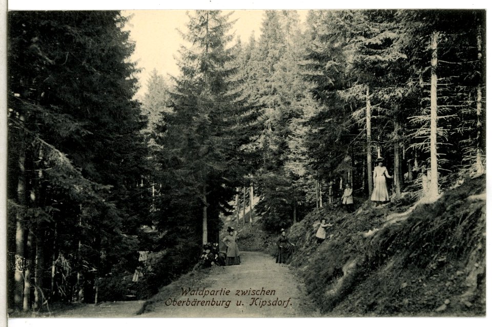 12944-Oberbärenburg-1911-Partie zwischen Oberbärenburg und Kipsdorf-Brück & Sohn Kunstverlag