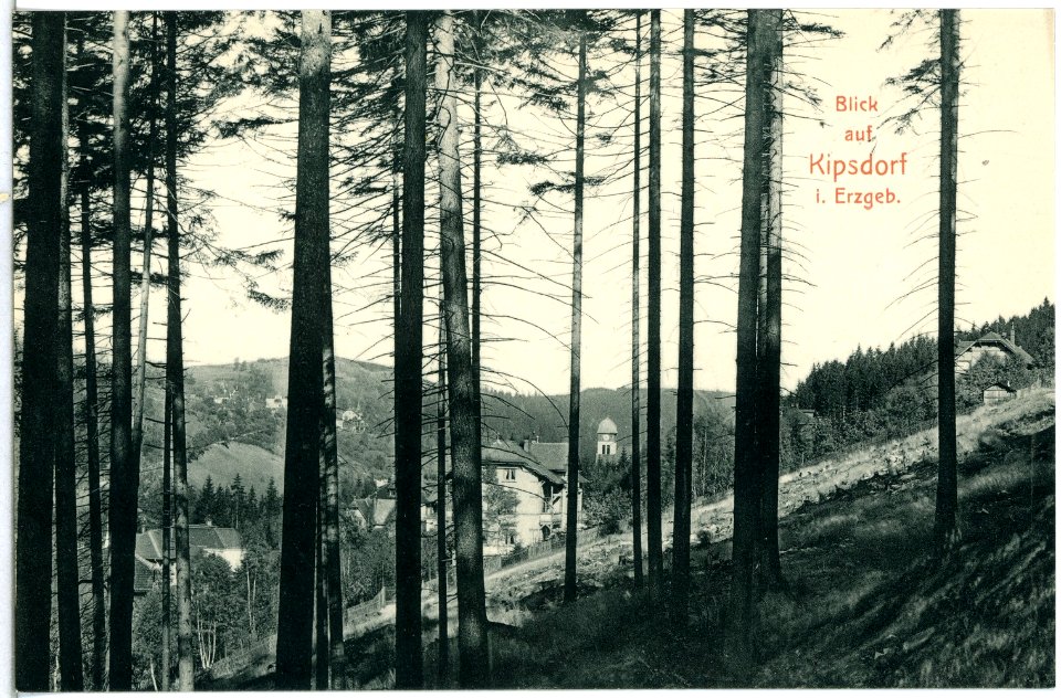14172-Kipsdorf-1912-Blick auf Kipsdorf-Brück & Sohn Kunstverlag