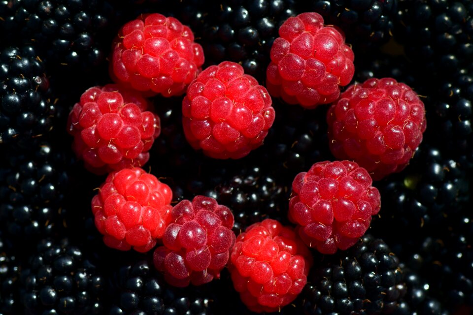 Heart made of raspberries love pampering