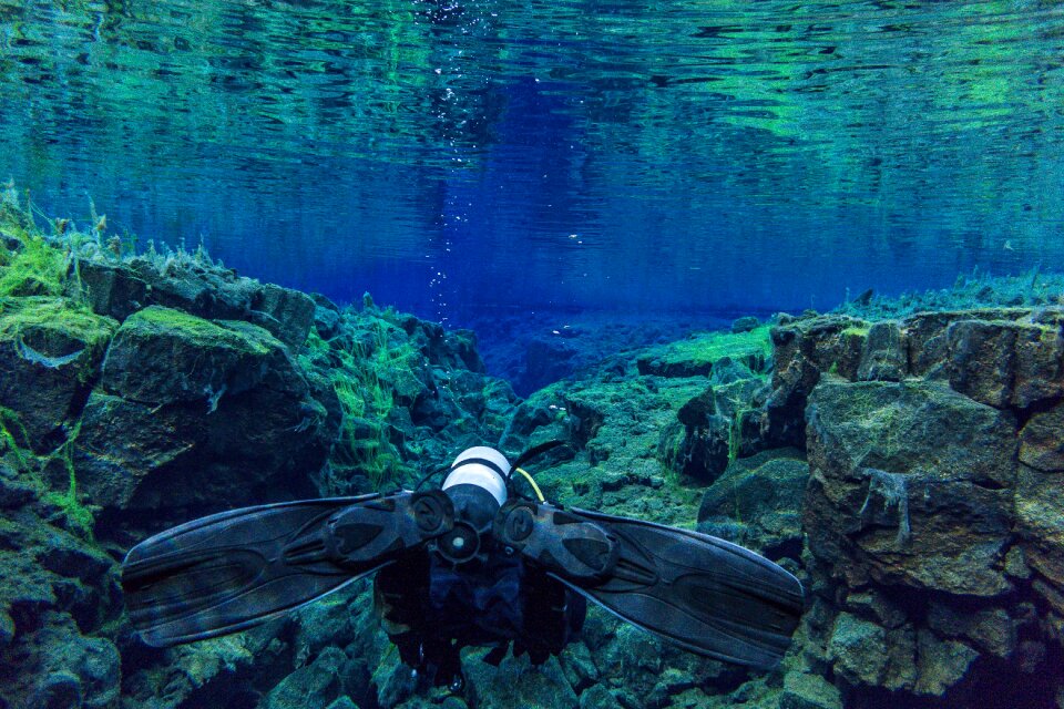 Ocean divers lung travel