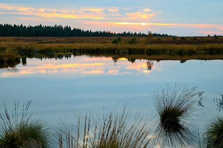 Nature nature reserve moorland