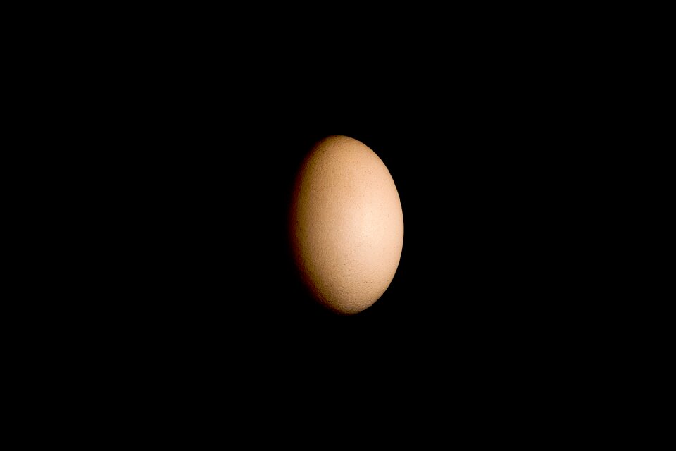 Light black egg black eggs