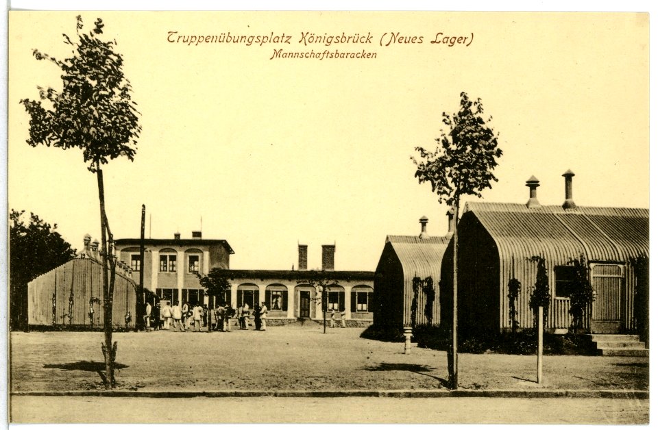 12989-Königsbrück-1911-Truppenübungsplatz, (Neues Lager)-Brück & Sohn Kunstverlag