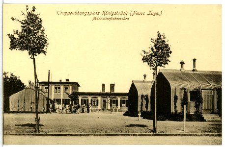 12989-Königsbrück-1911-Truppenübungsplatz, (Neues Lager)-Brück & Sohn Kunstverlag