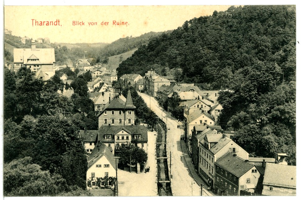 12879-Tharandt-1911-Blick von der Ruine-Brück & Sohn Kunstverlag
