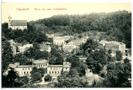 12884-Tharandt-1911-Blick von den Cottabänken-Brück & Sohn Kunstverlag