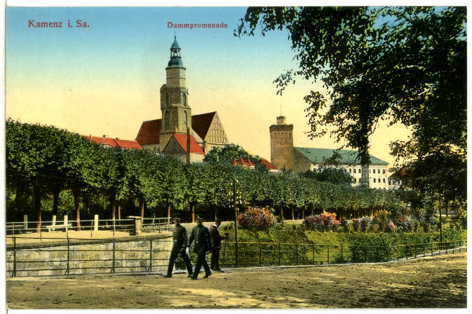 12787-Kamenz-1911-Dammpromenade-Brück & Sohn Kunstverlag