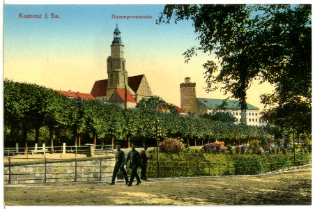12787-Kamenz-1911-Dammpromenade-Brück & Sohn Kunstverlag photo