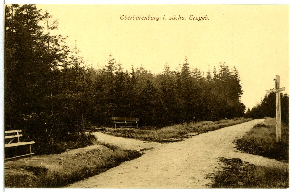 12941-Oberbärenburg-1911-Waldweg-Brück & Sohn Kunstverlag