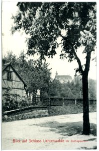 13187-Lichtenwalde-1911-Schloß-Brück & Sohn Kunstverlag