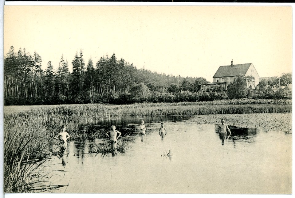 13772-Freiberg-1912-Wald Cafe Teich-Brück & Sohn Kunstverlag