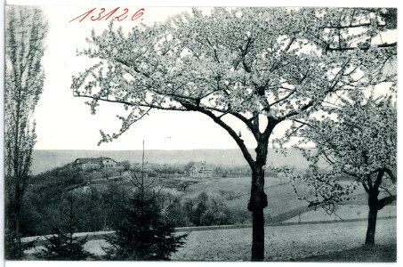 13126-Cossebaude-1911-in der Baumblut, Blick nach der Parkschänke-Brück & Sohn Kunstverlag