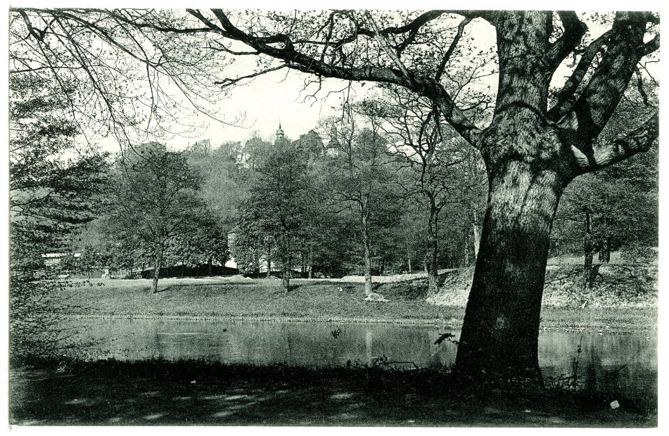13218-Lichtenwalde-1911-Zschopautal-Brück & Sohn Kunstverlag