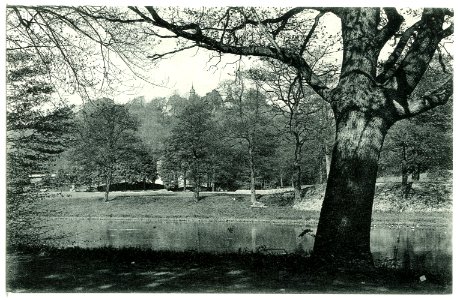 13218-Lichtenwalde-1911-Zschopautal-Brück & Sohn Kunstverlag