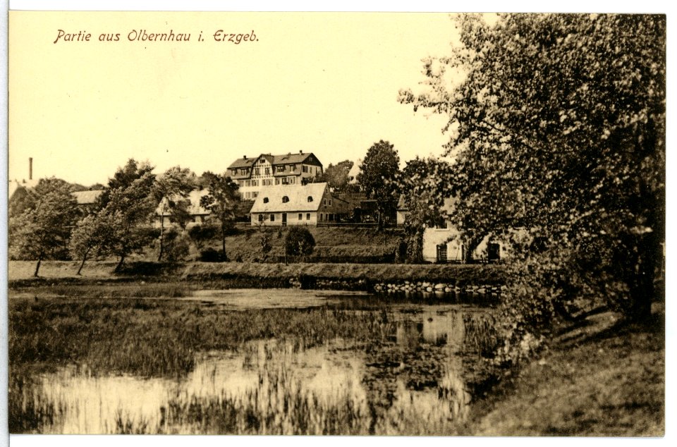 13308-Olbernhau-1911-Blick nach Olbernhau-Brück & Sohn Kunstverlag