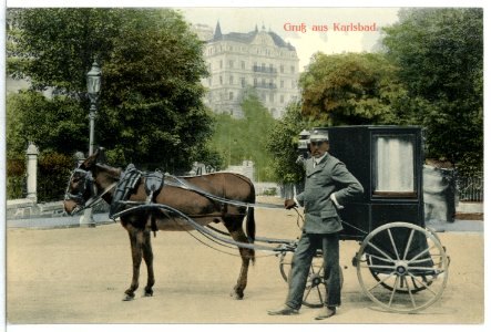 13330-Karlsbad-1911-Eselsgespann-Brück & Sohn Kunstverlag