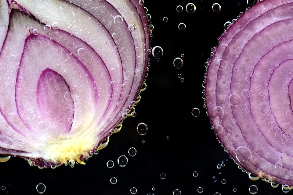 Antibacterial red allium cepa