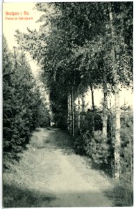 14050-Stolpen-1912-Schloßpark-Brück & Sohn Kunstverlag