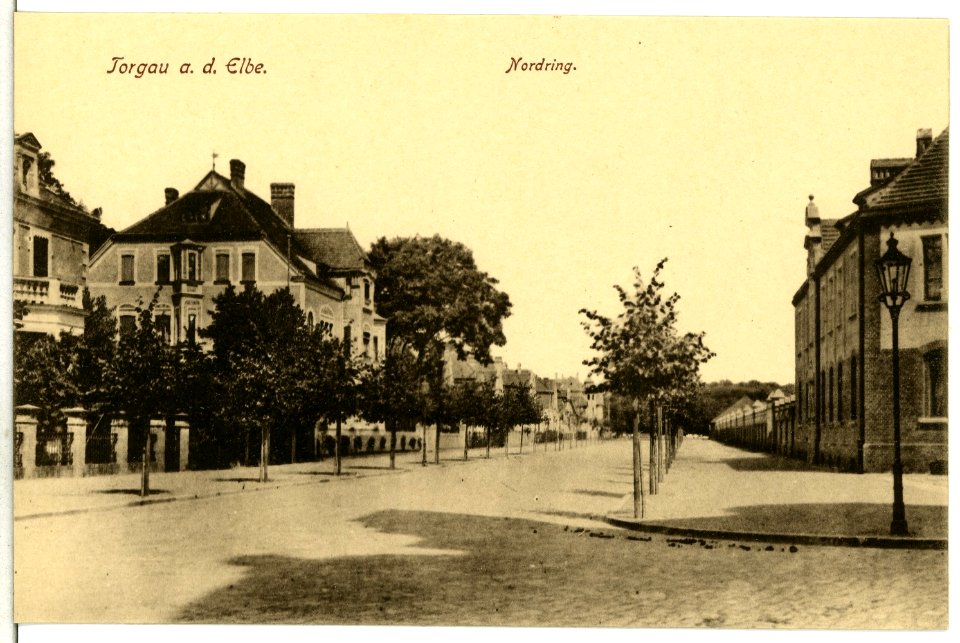 12905-Torgau-1911-Nordring-Brück & Sohn Kunstverlag