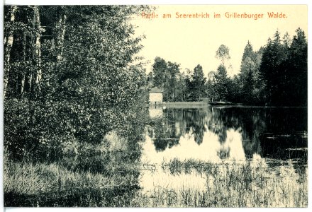 13015-Grillenburg-1911-Partie am Seerenteich-Brück & Sohn Kunstverlag