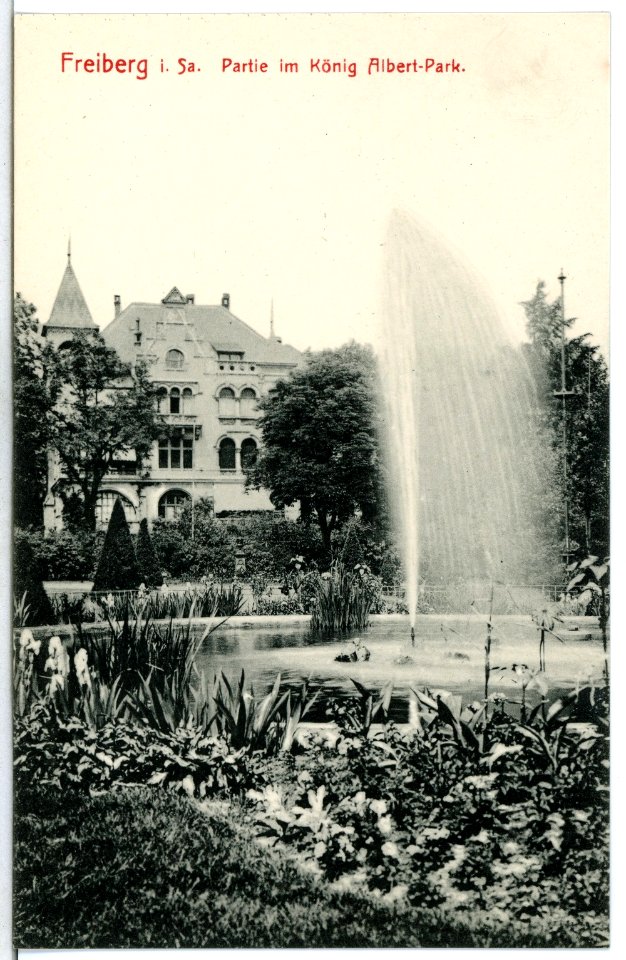 13023-Freiberg-1911-Partie im König-Albert-Park-Brück & Sohn Kunstverlag