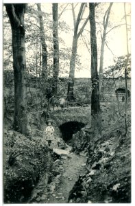 13230-Altzella-1911-Wandelgang-Brück & Sohn Kunstverlag