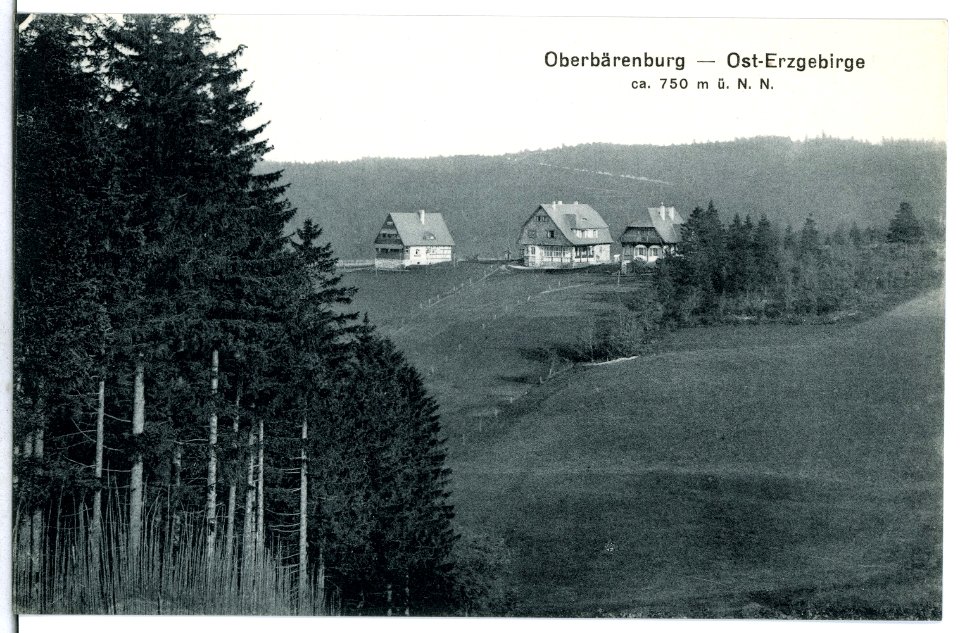 12940-Oberbärenburg-1911-Blick auf Oberbärenburg-Brück & Sohn Kunstverlag