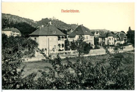 12813-Radebeul-1911-Blick auf Niederlößnitz-Brück & Sohn Kunstverlag