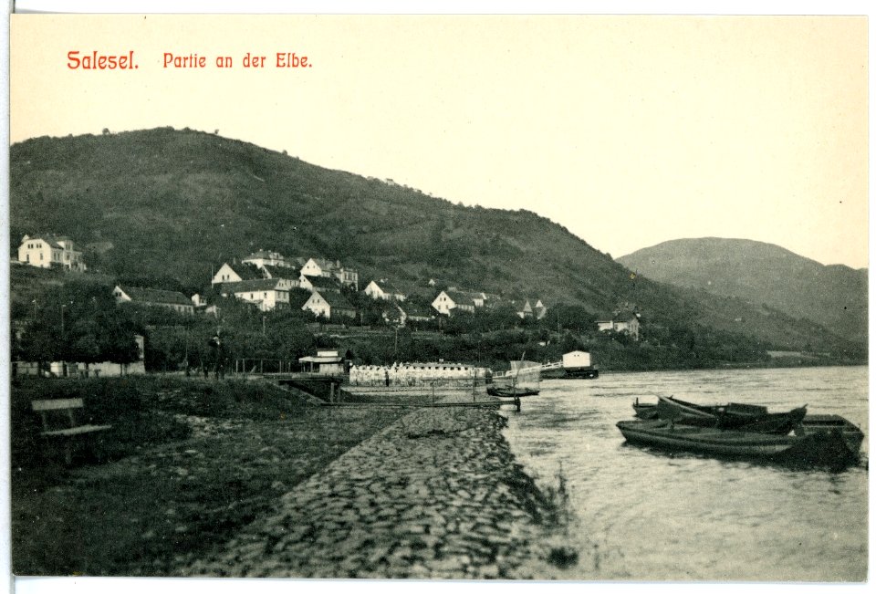 12773-Salesel-1911-Partie an der Elbe-Brück & Sohn Kunstverlag