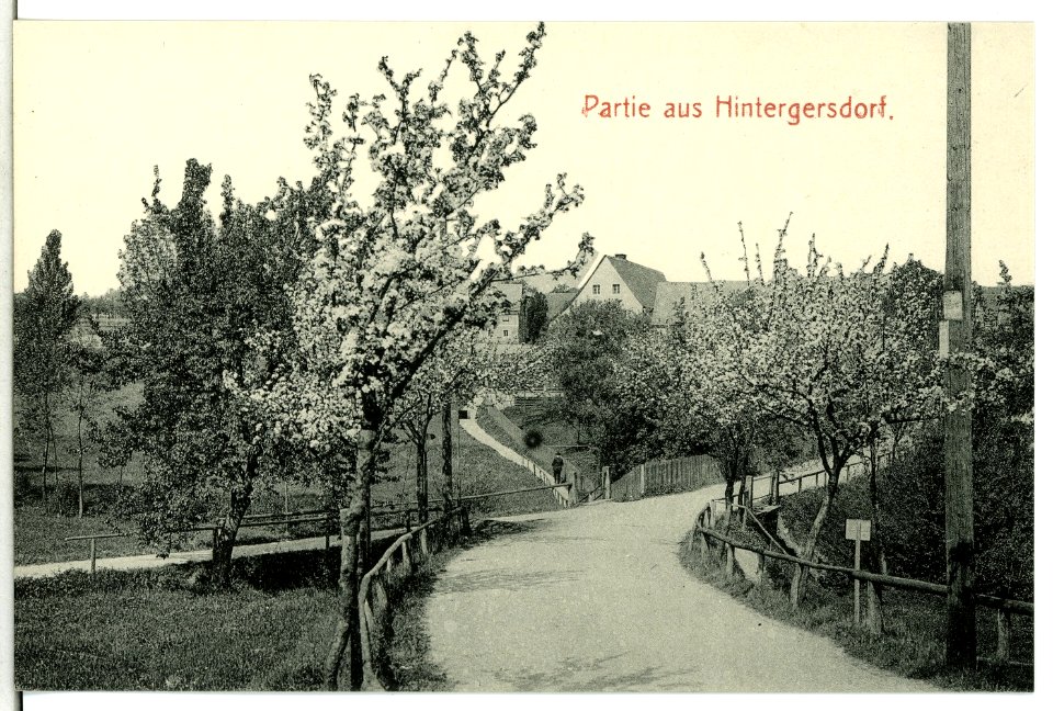 13264-Hintergersdorf-1911-Partie aus Hintergersdorf-Brück & Sohn Kunstverlag