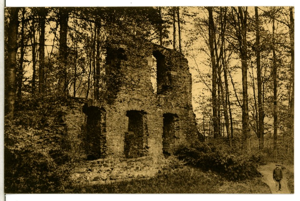 13227-Altzella-1911-Abteiruine-Brück & Sohn Kunstverlag