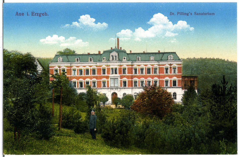 15434-Aue-1913-Dr. Pillings Sanatorium-Brück & Sohn Kunstverlag