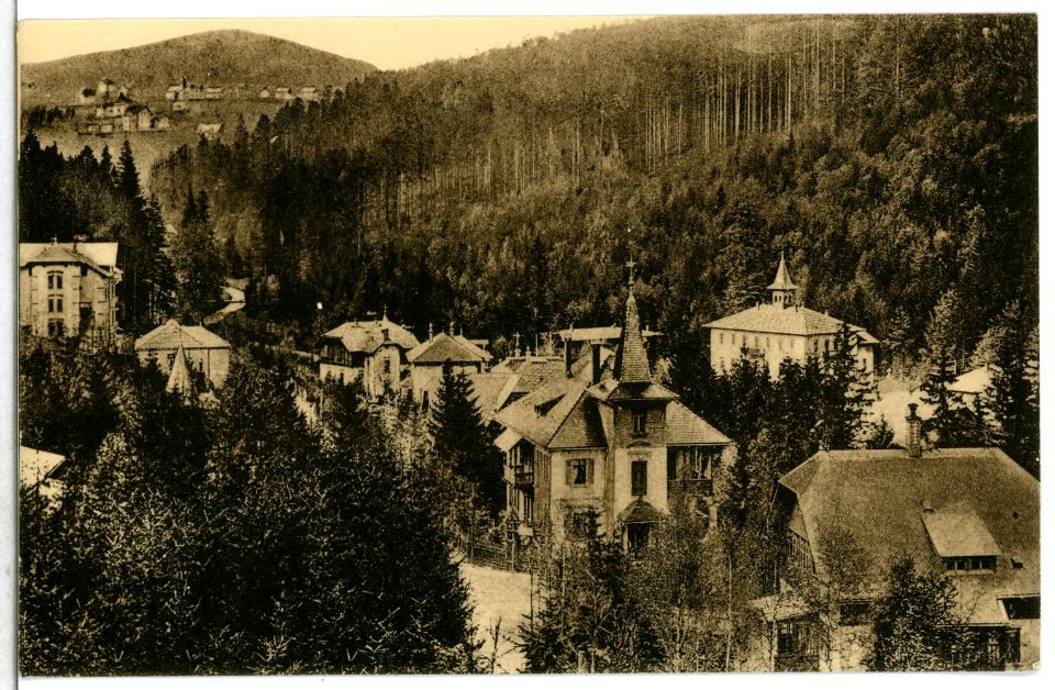 12939-Kipsdorf-1911-Blick auf Kipsdorf-Brück & Sohn Kunstverlag