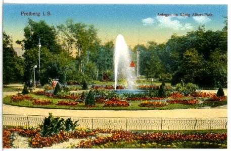 15331-Freiberg-1913-Anlagen im König-Albert-Park-Brück & Sohn Kunstverlag