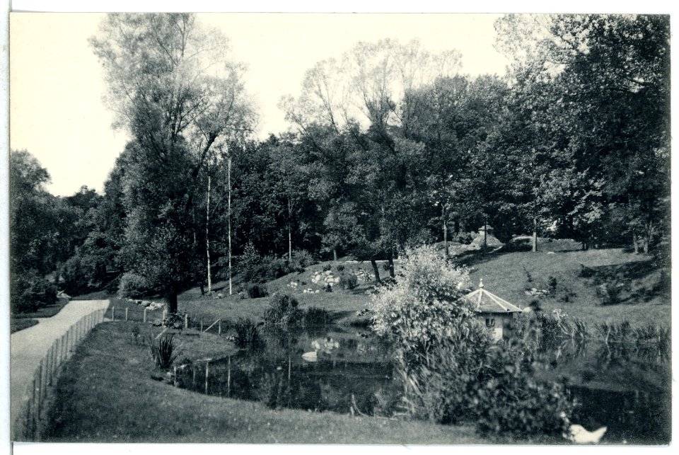 12914-Wittenberg-1911-In den Anlagen-Brück & Sohn Kunstverlag