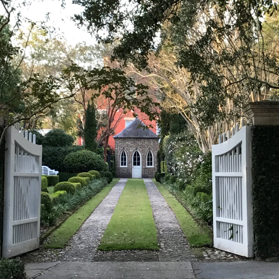 Tree entrance drive
