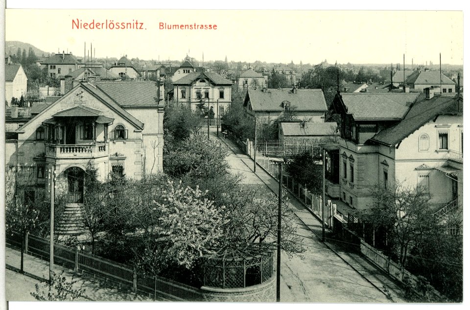13092-Radebeul-1911-Blumenstraße-Brück & Sohn Kunstverlag