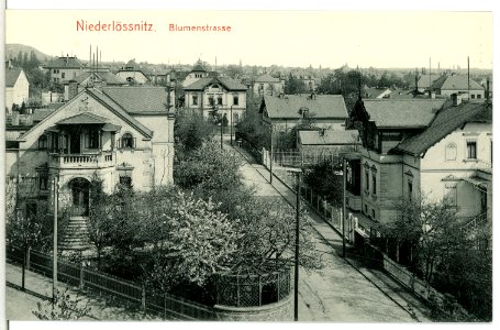 13092-Radebeul-1911-Blumenstraße-Brück & Sohn Kunstverlag