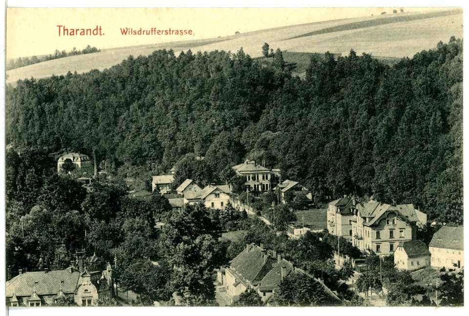 12855-Tharandt-1911-Wilsdruffer Straße-Brück & Sohn Kunstverlag