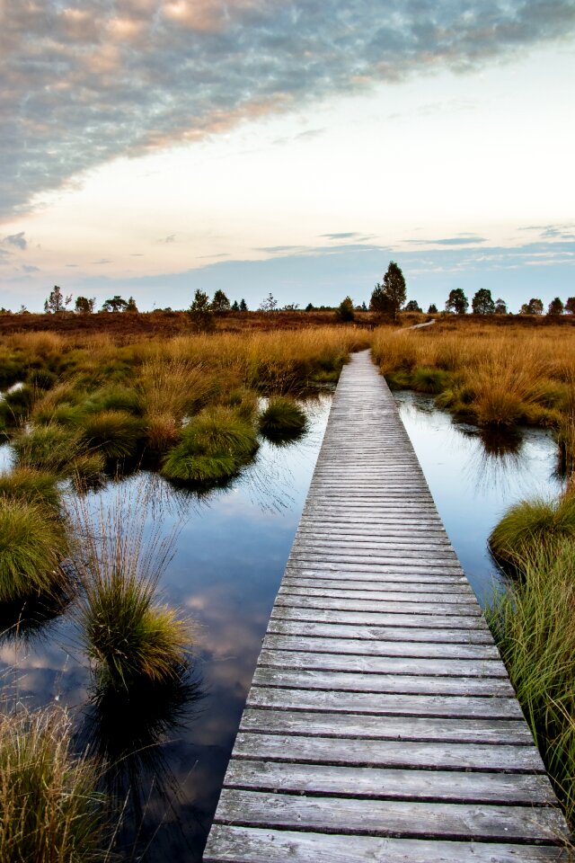 Nature nature reserve moorland