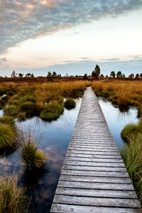 Nature nature reserve moorland