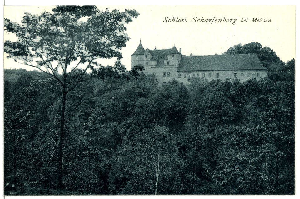 13243-Scharfenberg-1911-Schloß-Brück & Sohn Kunstverlag