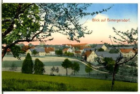 13262-Hintergersdorf-1911-Blick auf Hintergersdorf-Brück & Sohn Kunstverlag