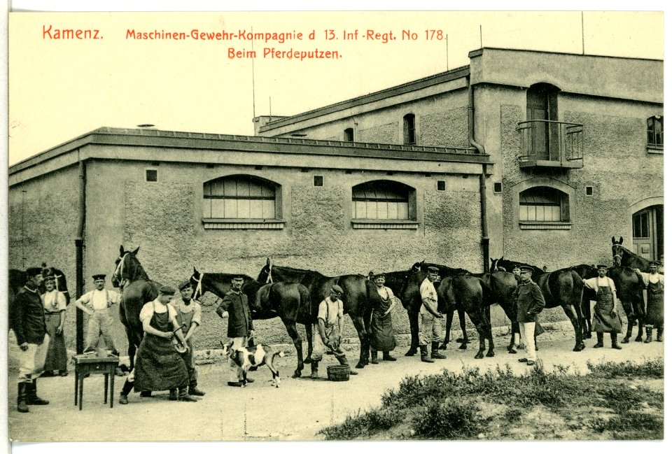 12542-Kamenz-1911-Maschinengewehr-Kompagnie beim Pferdeputzen-Brück & Sohn Kunstverlag
