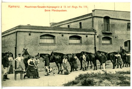 12542-Kamenz-1911-Maschinengewehr-Kompagnie beim Pferdeputzen-Brück & Sohn Kunstverlag